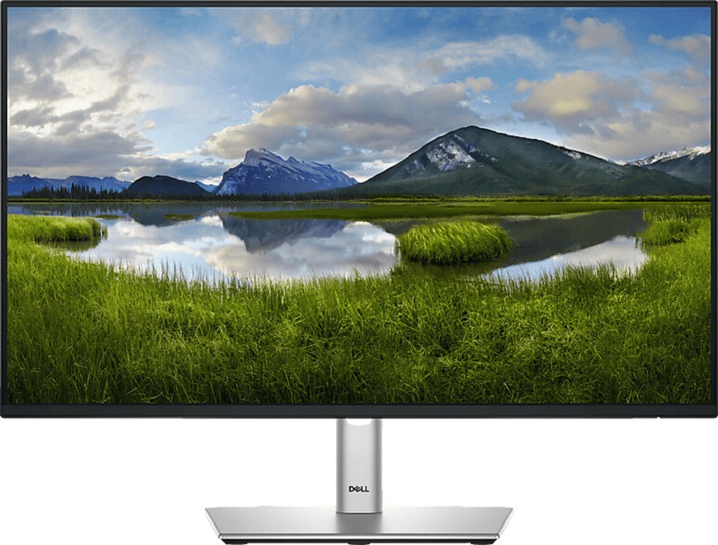 Dell Monitor P2425HE 23,8 Zoll Full HD