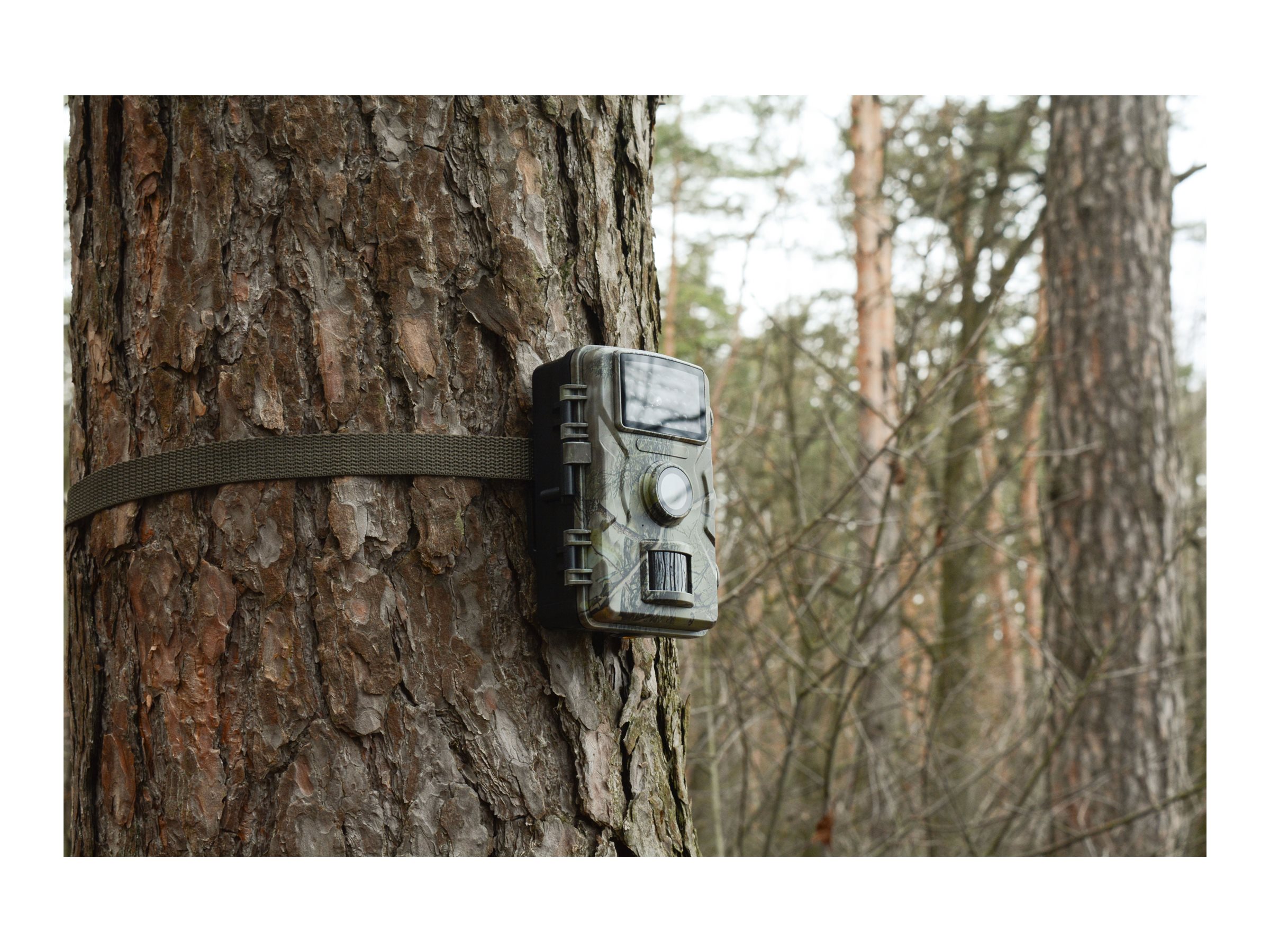 Technaxx Wildcam 1080p TX-256