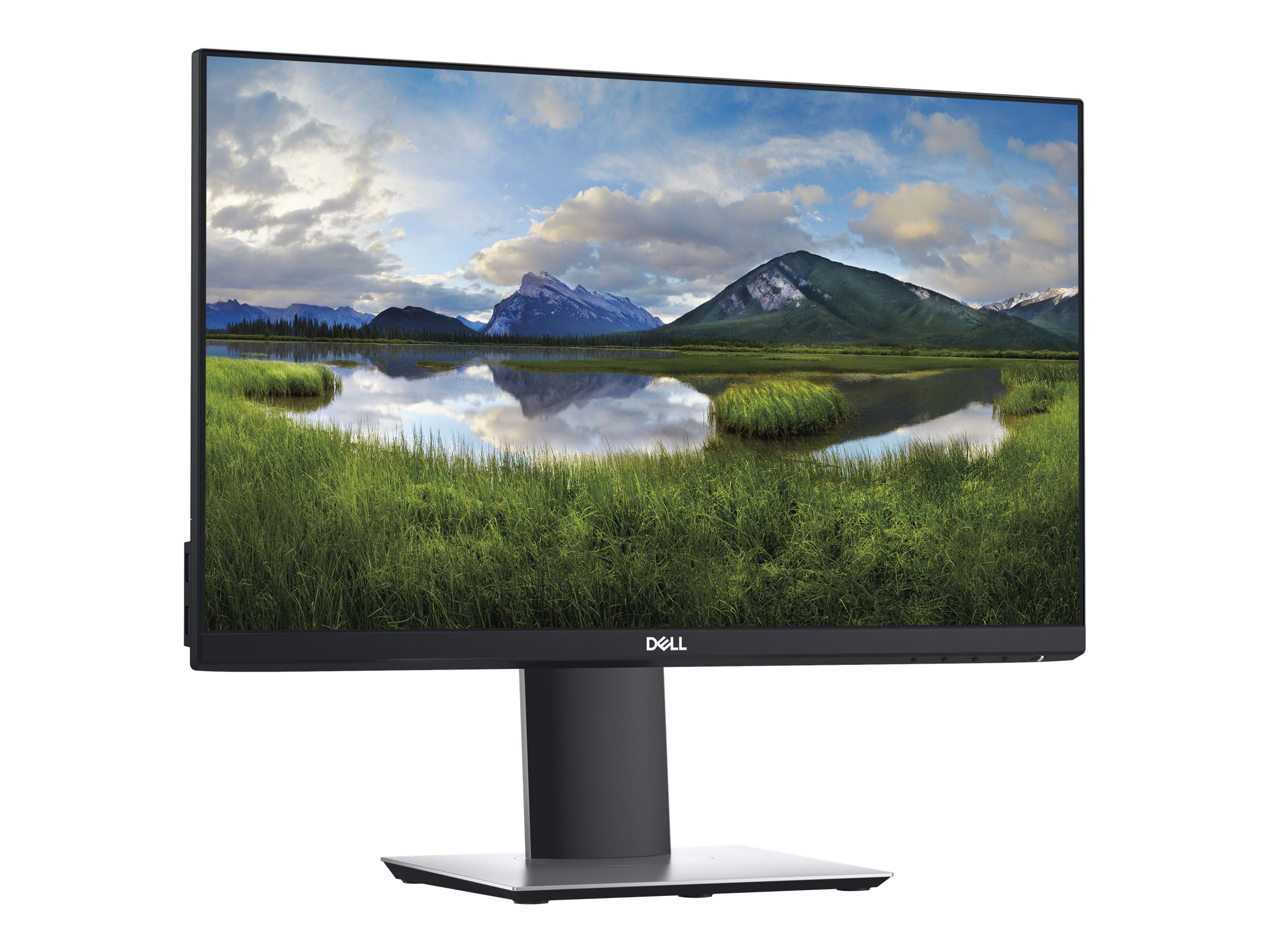 Dell Professional P2219H 22'' Monitor