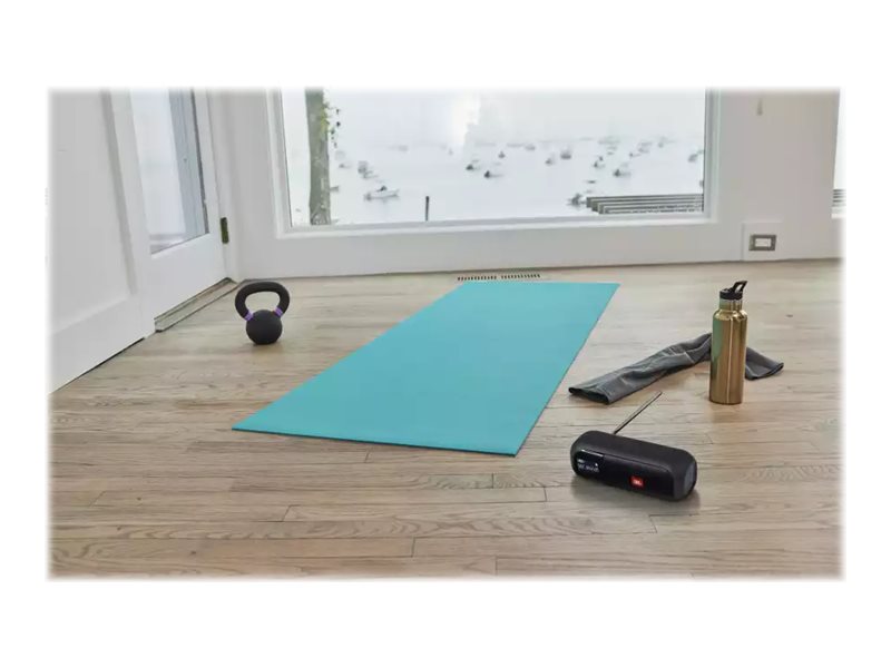 JBL Tuner 2 Bluetooth Lautsprecher Schwarz